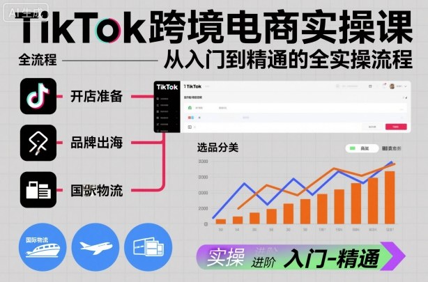 TikTok跨境电商实操课，从入门到精通的全实操流程-云阁资源网