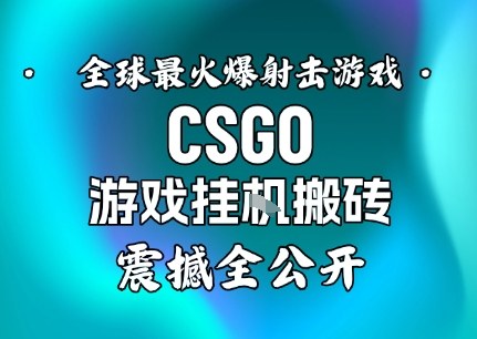 【年底大揭秘】基于全球最火爆的射击CSGO游戏挂G搬砖，日入5张+，震撼公开-云阁资源网