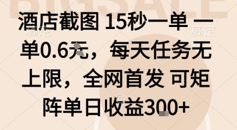 酒店截图15秒一单，一单0.6米，每天任务无上限，全网首发可矩阵单日收益3张【揭秘】-云阁资源网