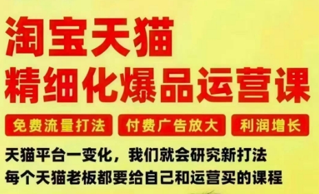 淘宝天猫精细化爆品运营课，免费流量打法-付费广告放大-利润增长-三大核心痛点，一次全部解决-云阁资源网