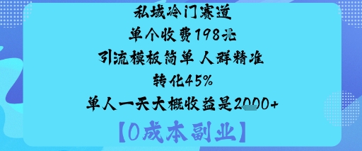 私域冷门赛道:单个收费198米引流模板简单人群精准转化45%单人一天大概收益是1k+-云阁资源网