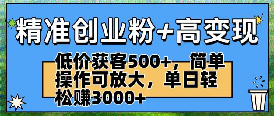 精准创业粉+高变现：低价获客500+，简单操作可放大，单日轻松赚3000+-云阁资源网
