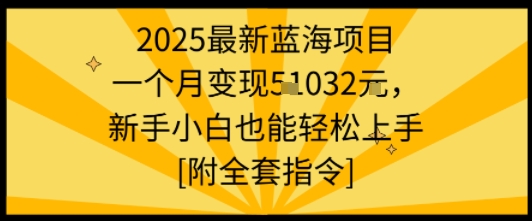 2025最新蓝海项目一个月变现1w+新手小白也能轻松上手【附全套指令】-云阁资源网