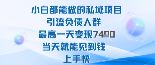 2025年小白都能做的私域项目引流负债人群最高一天变现1k+高变现难度低当天就能见到钱上手快-云阁资源网