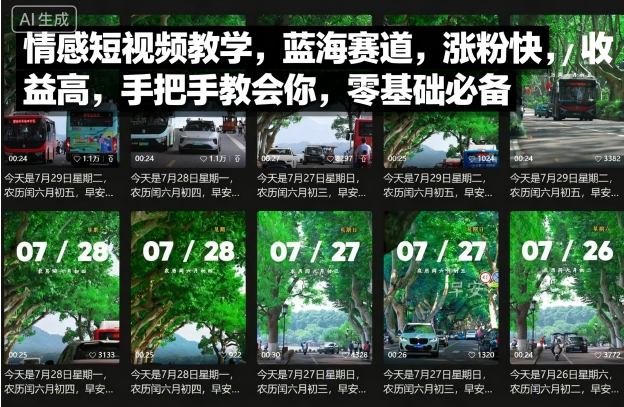 情感短视频教学，蓝海赛道，涨粉快，收益高，手把手教会你，零基础必备-云阁资源网