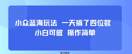 小众蓝海玩法 一天搞了四位数 小白可做 操作简单-云阁资源网
