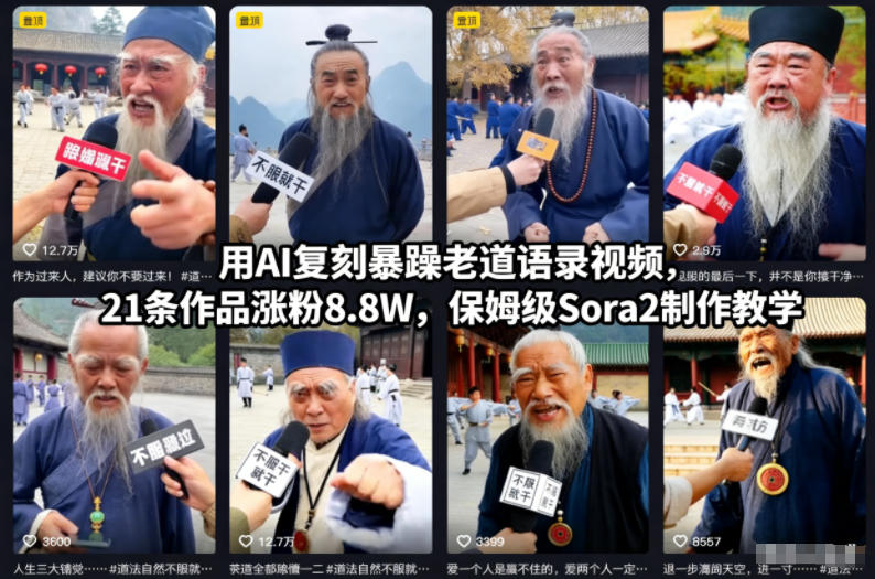 用AI复刻暴躁老道语录视频,21条作品涨粉8.8W,保姆级Sora2制作教学-云阁资源网