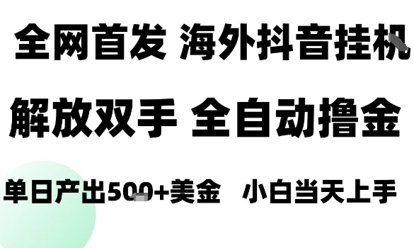 海外抖音无人直播，单日产出1.5k+，长期稳定，新手可玩，无脑操作【揭秘】-云阁资源网