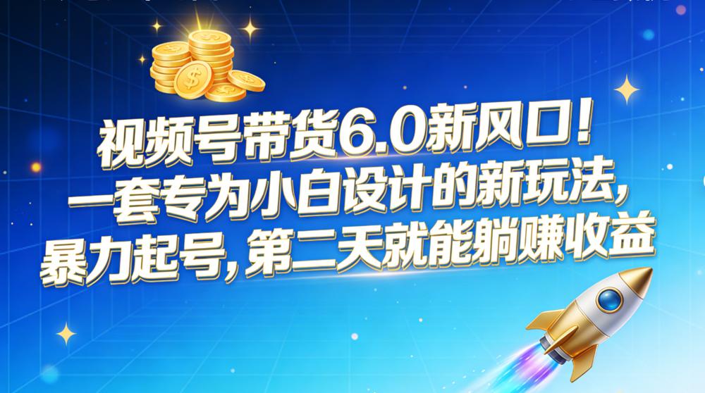 视频号带货 6.0 新风口！一套专为小白设计的新玩法，暴力起号，第二天就能躺赚收益-云阁资源网