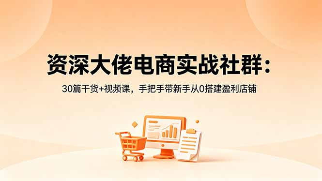 资深大佬电商实战社群：30篇干货+视频课，手把手带新手从0搭建盈利店铺-云阁资源网