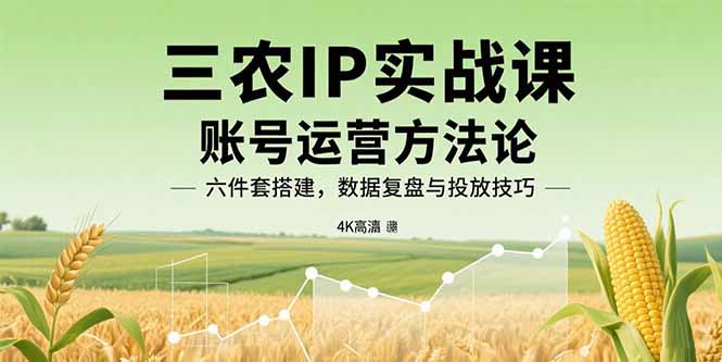 三农IP实战课：账号运营方法论，六件套搭建，数据复盘与投放技巧-云阁资源网