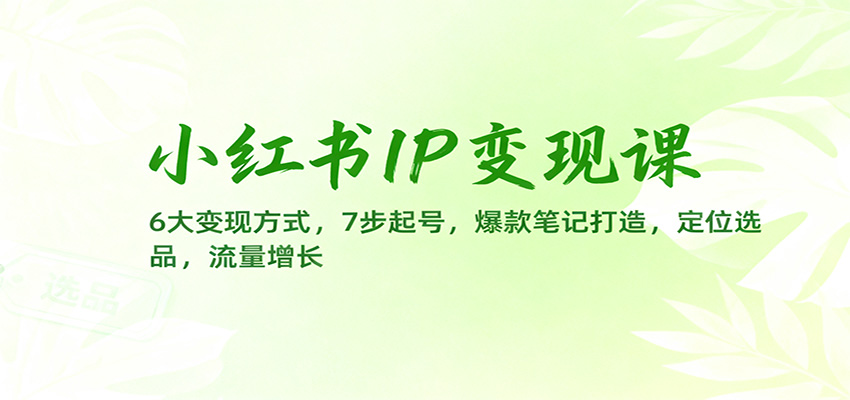 小红书IP变现课：6大变现方式，7步起号，爆款笔记打造，定位选品，流量增长-云阁资源网