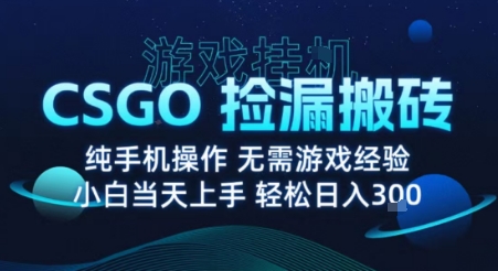 8月最新游戏搬砖，CSGO纯挂G，不需要玩游戏，实现真挂G，月入1W+【揭秘】-云阁资源网