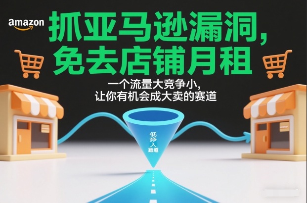 抓亚马逊漏洞，免去店铺月租，一个流量大竞争小，让你有机会成大卖的赛道-云阁资源网